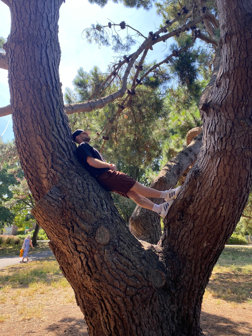 💭 Chasing Freedom Won’t Save You If Your Mind’s Still a Mess